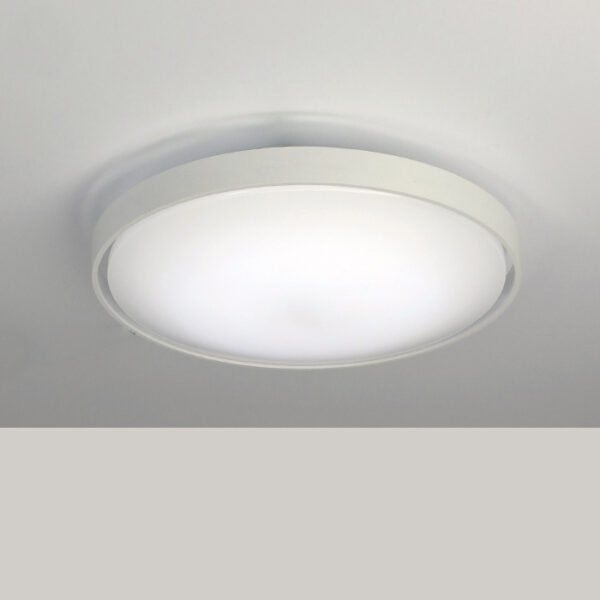 led ceiling light-Attic-2