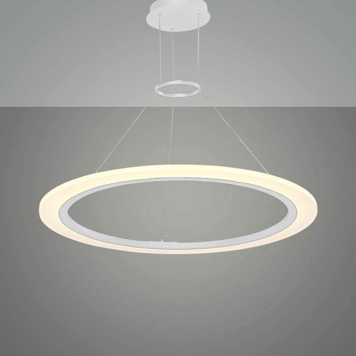 LED Pendant Light with ring shaped