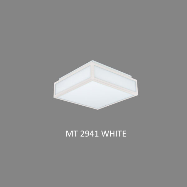 LED Ceiling Light-MT2941-2C-White