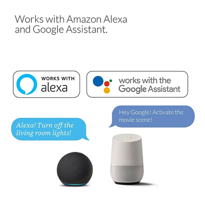 Alexa and Google Assistant