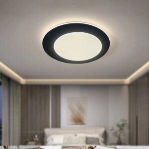 LED Ceiling Light - URBANA (DIS-CF2510-02)